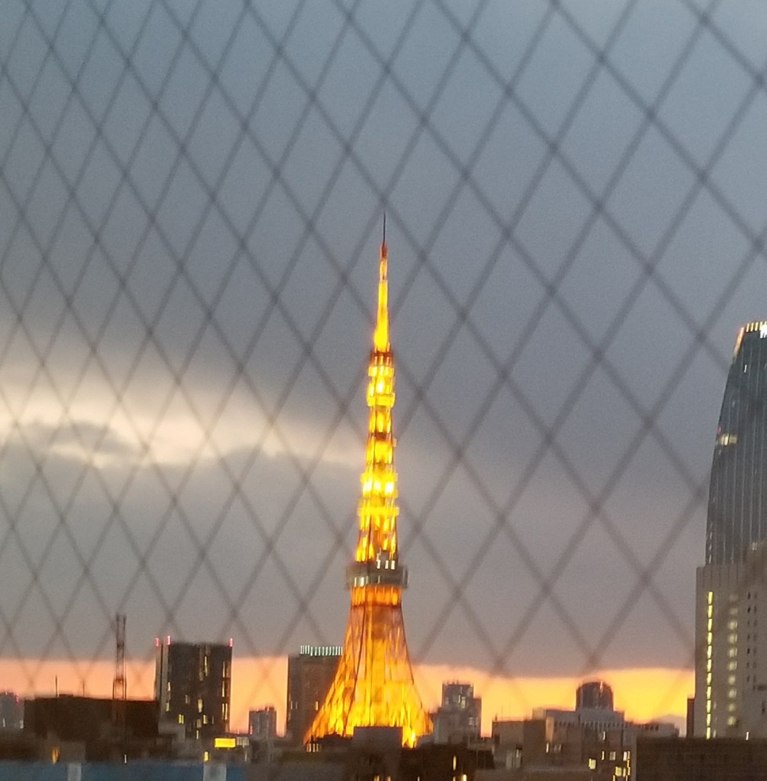 東京タワー 東京タワー