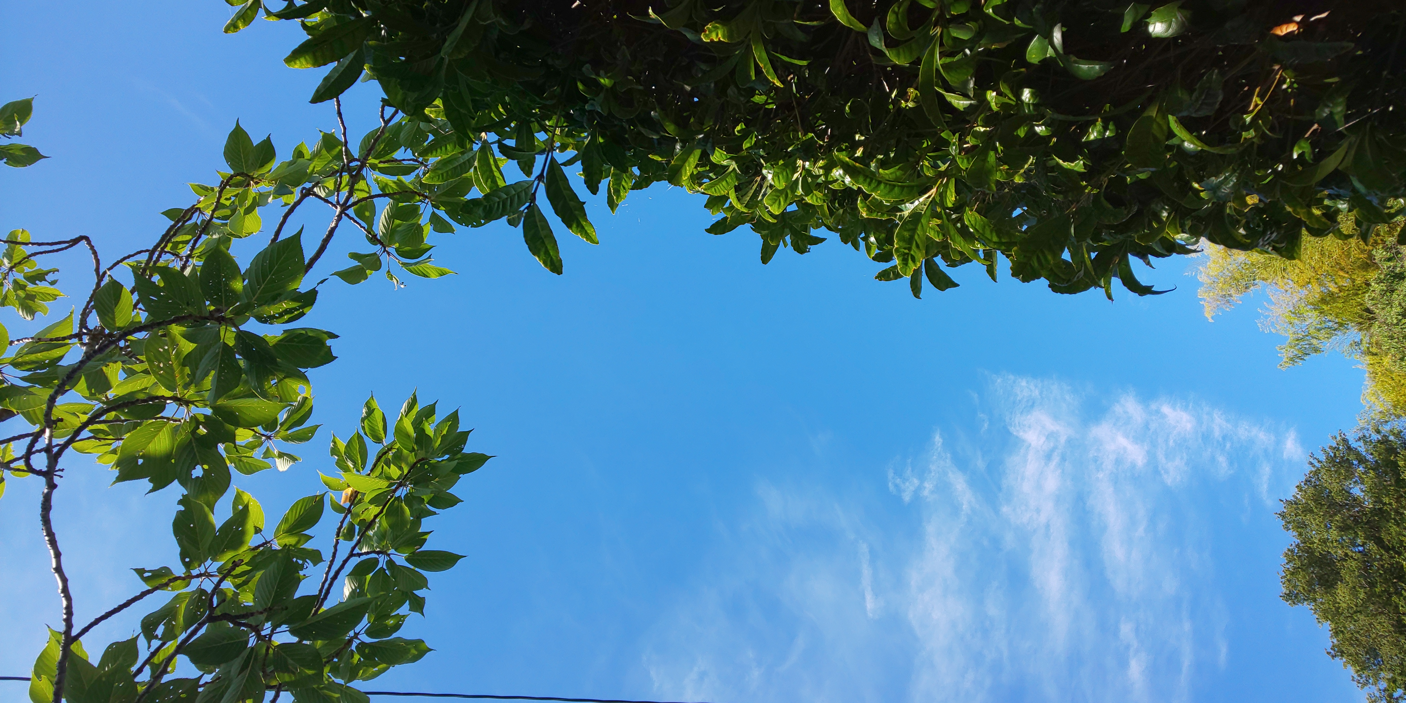 空 空