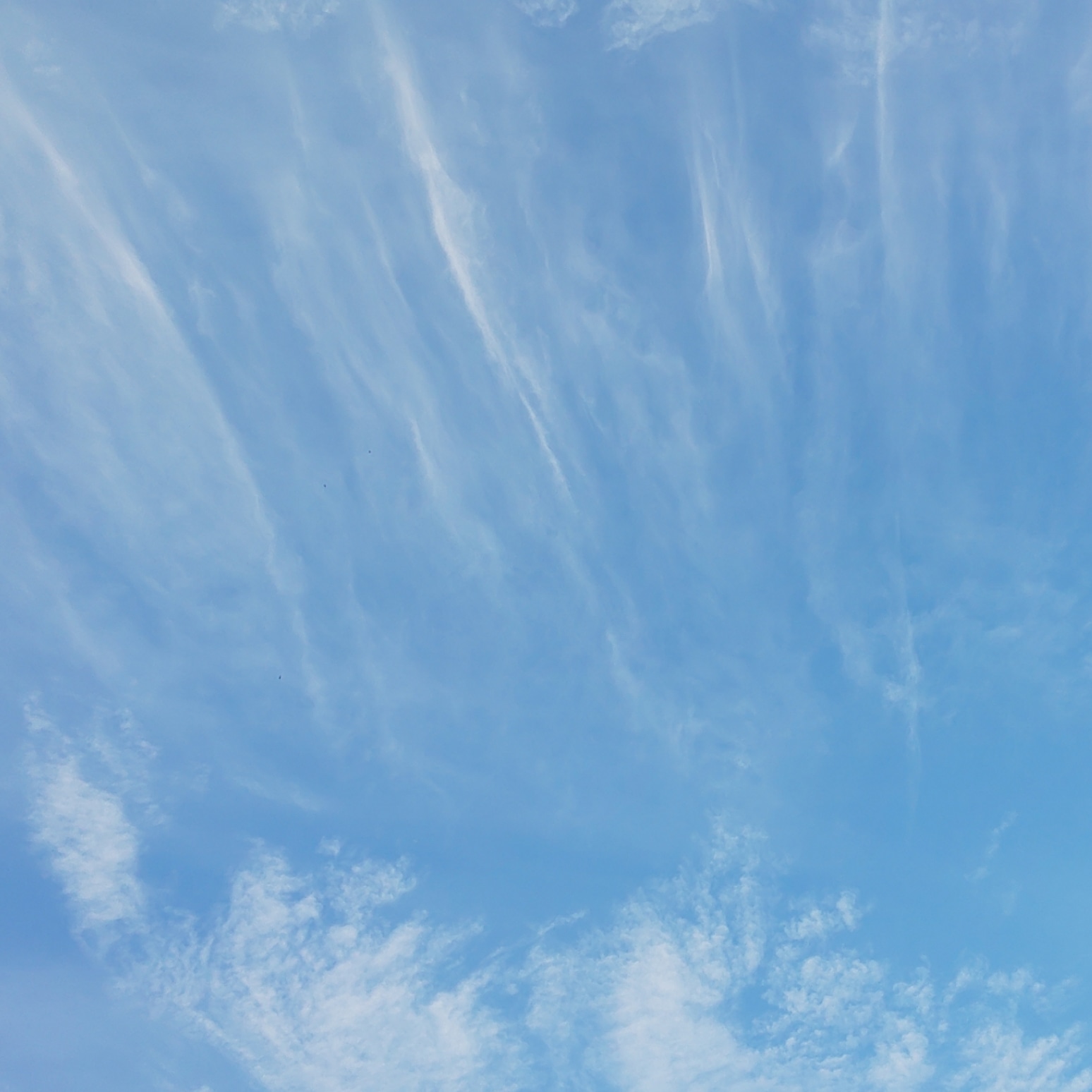 空のお写真 空のお写真